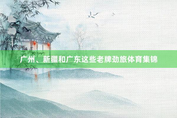 广州、新疆和广东这些老牌劲旅体育集锦