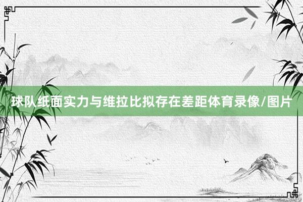 球队纸面实力与维拉比拟存在差距体育录像/图片