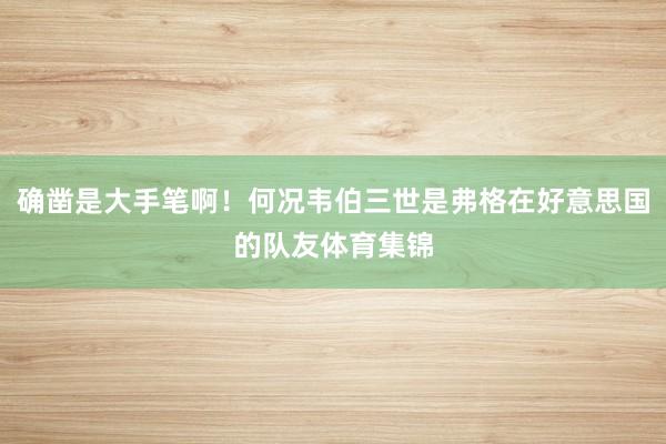 确凿是大手笔啊！何况韦伯三世是弗格在好意思国的队友体育集锦
