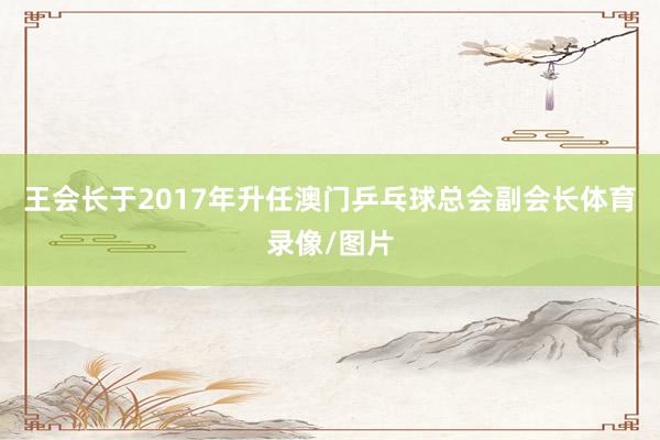 王会长于2017年升任澳门乒乓球总会副会长体育录像/图片