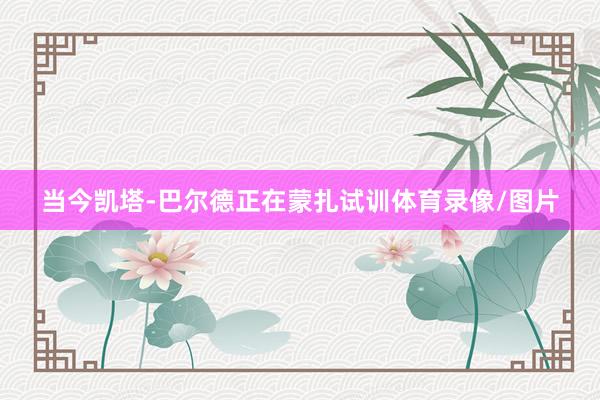 当今凯塔-巴尔德正在蒙扎试训体育录像/图片