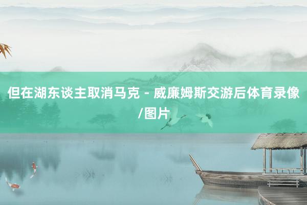 但在湖东谈主取消马克 - 威廉姆斯交游后体育录像/图片