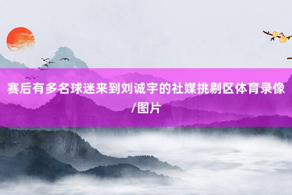 赛后有多名球迷来到刘诚宇的社媒挑剔区体育录像/图片