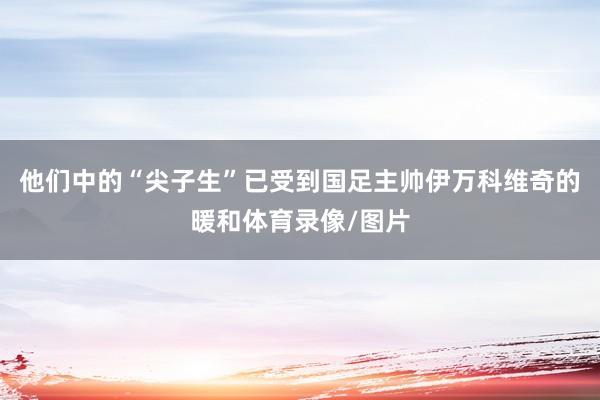他们中的“尖子生”已受到国足主帅伊万科维奇的暖和体育录像/图片