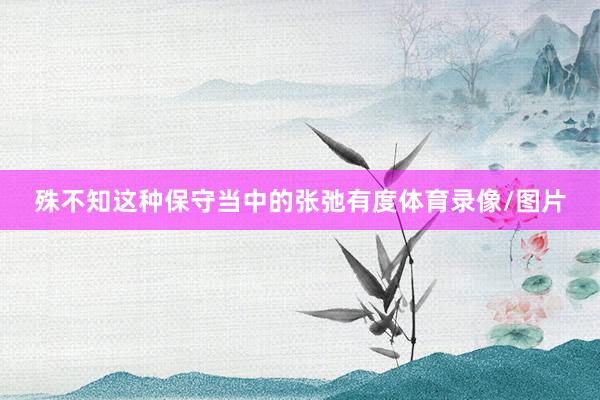 殊不知这种保守当中的张弛有度体育录像/图片