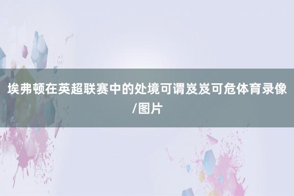 埃弗顿在英超联赛中的处境可谓岌岌可危体育录像/图片
