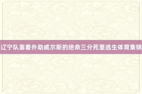 辽宁队靠着外助威尔斯的绝命三分死里逃生体育集锦
