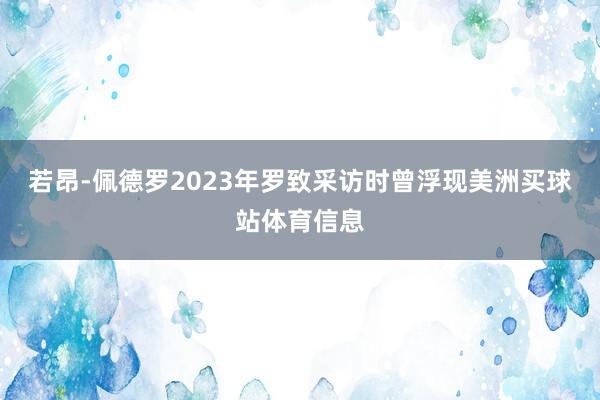 若昂-佩德罗2023年罗致采访时曾浮现美洲买球站体育信息