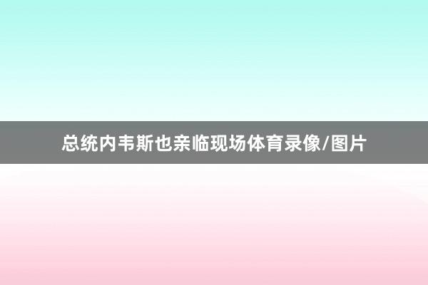 总统内韦斯也亲临现场体育录像/图片