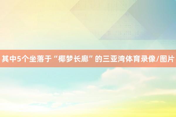 其中5个坐落于“椰梦长廊”的三亚湾体育录像/图片