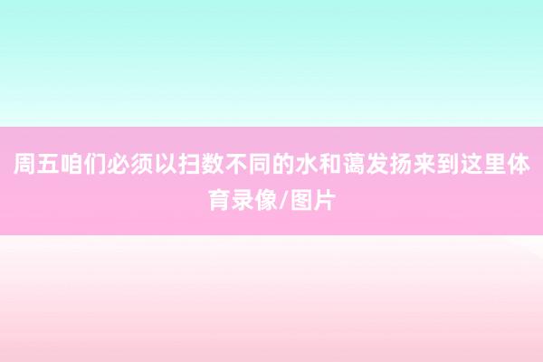 周五咱们必须以扫数不同的水和蔼发扬来到这里体育录像/图片