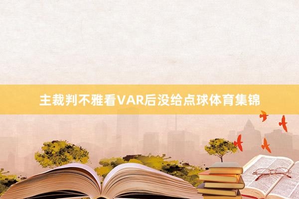 主裁判不雅看VAR后没给点球体育集锦