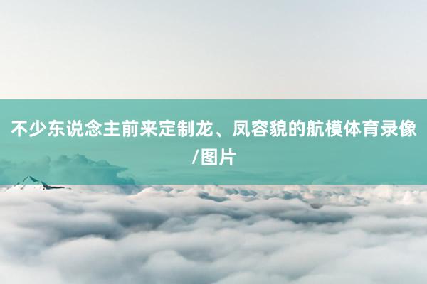 不少东说念主前来定制龙、凤容貌的航模体育录像/图片
