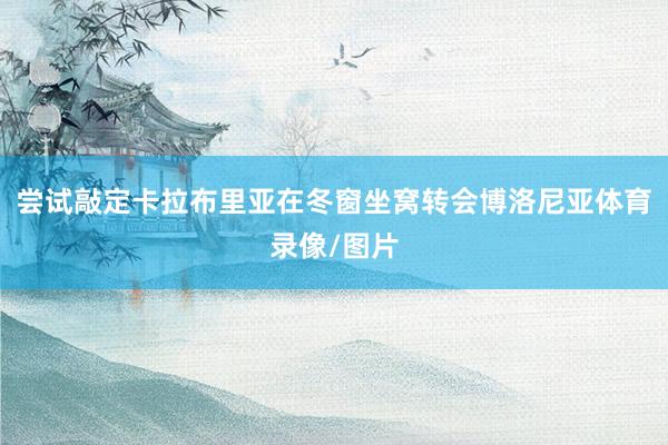 尝试敲定卡拉布里亚在冬窗坐窝转会博洛尼亚体育录像/图片