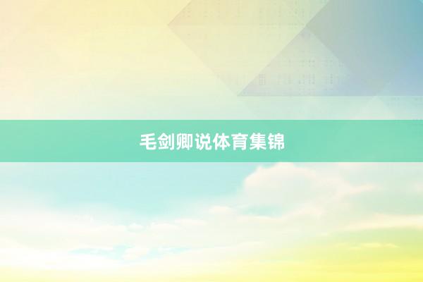 毛剑卿说体育集锦