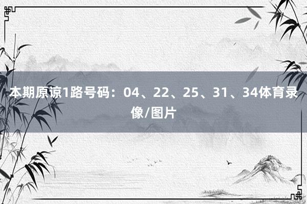 本期原谅1路号码：04、22、25、31、34体育录像/图片