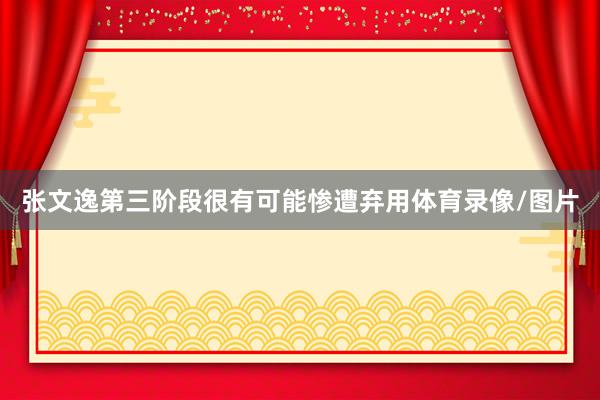 张文逸第三阶段很有可能惨遭弃用体育录像/图片