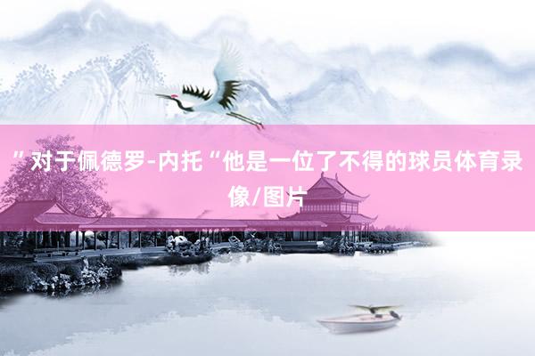 ”对于佩德罗-内托“他是一位了不得的球员体育录像/图片