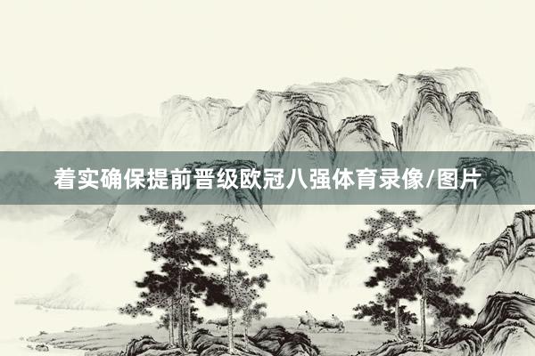 着实确保提前晋级欧冠八强体育录像/图片