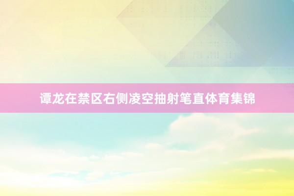 谭龙在禁区右侧凌空抽射笔直体育集锦