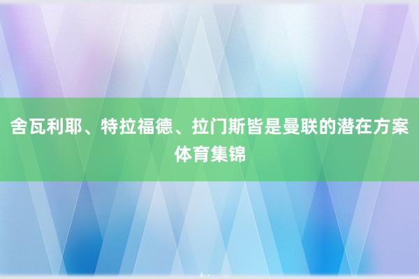 舍瓦利耶、特拉福德、拉门斯皆是曼联的潜在方案体育集锦