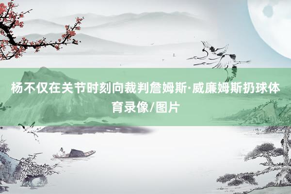 杨不仅在关节时刻向裁判詹姆斯·威廉姆斯扔球体育录像/图片