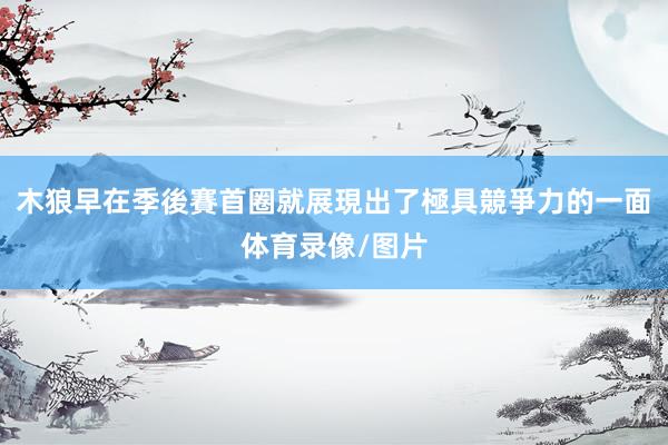 木狼早在季後賽首圈就展現出了極具競爭力的一面体育录像/图片