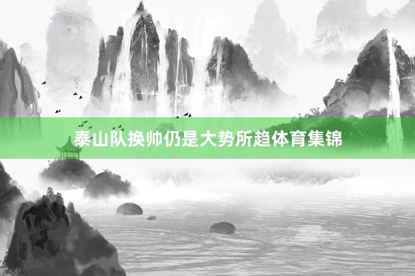 泰山队换帅仍是大势所趋体育集锦