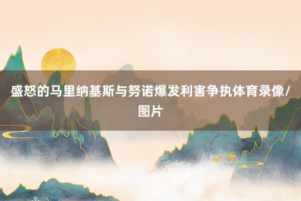 盛怒的马里纳基斯与努诺爆发利害争执体育录像/图片