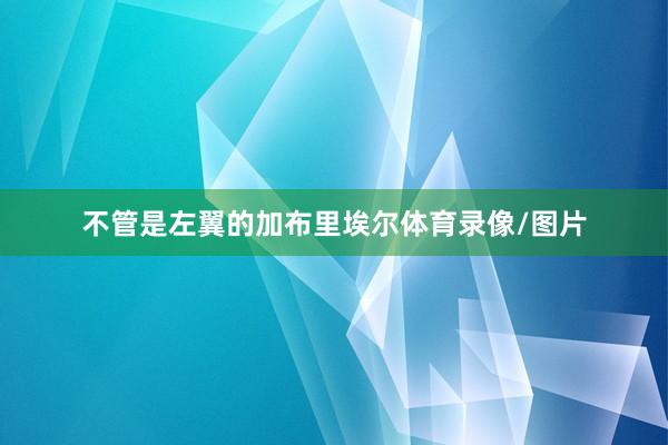 不管是左翼的加布里埃尔体育录像/图片