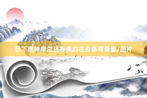 目下惠特摩尔还有条约在身体育录像/图片