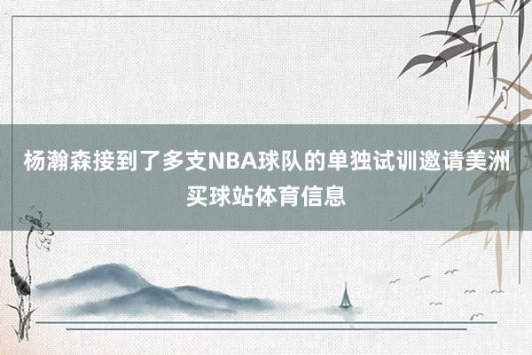 杨瀚森接到了多支NBA球队的单独试训邀请美洲买球站体育信息