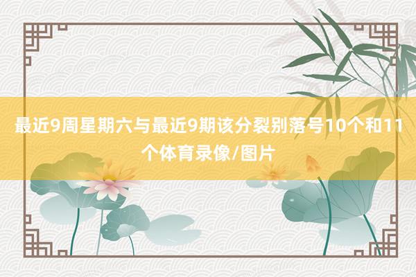 最近9周星期六与最近9期该分裂别落号10个和11个体育录像/图片