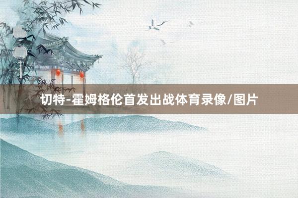切特-霍姆格伦首发出战体育录像/图片