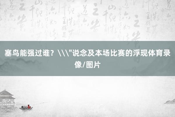 塞鸟能强过谁？\