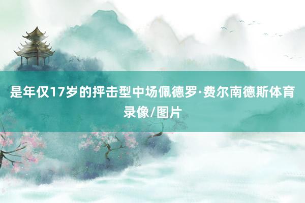 是年仅17岁的抨击型中场佩德罗·费尔南德斯体育录像/图片