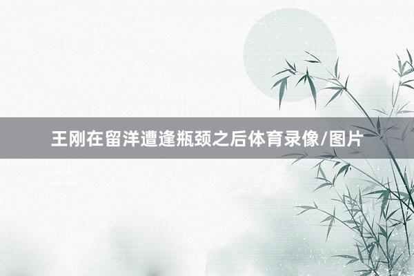 王刚在留洋遭逢瓶颈之后体育录像/图片