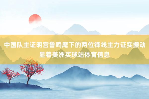 中国队主证明宫鲁鸣麾下的两位锋线主力证实搬动显着美洲买球站体育信息