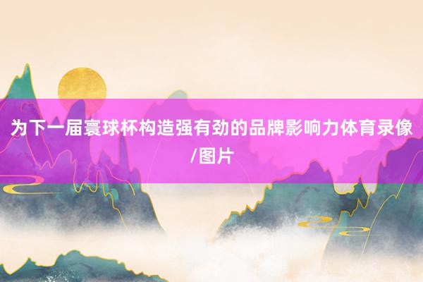 为下一届寰球杯构造强有劲的品牌影响力体育录像/图片