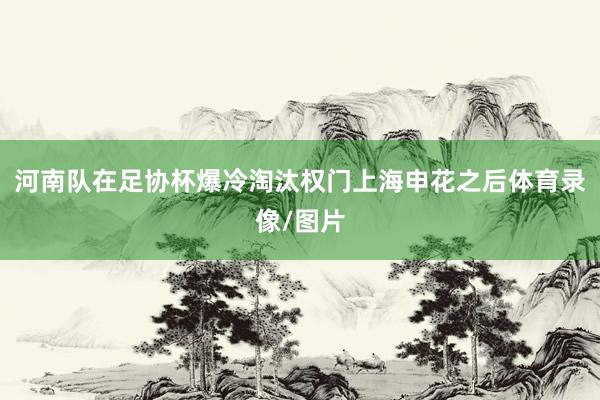 河南队在足协杯爆冷淘汰权门上海申花之后体育录像/图片