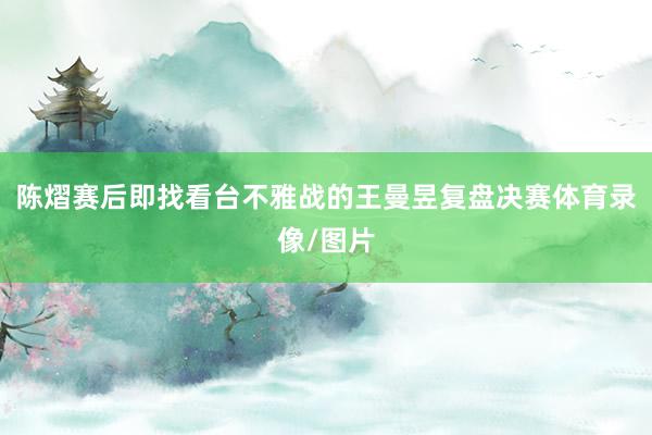 陈熠赛后即找看台不雅战的王曼昱复盘决赛体育录像/图片