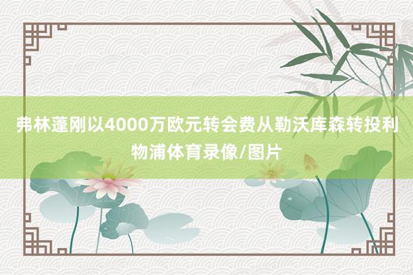 弗林蓬刚以4000万欧元转会费从勒沃库森转投利物浦体育录像/图片