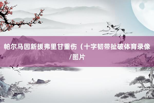 帕尔马因新援弗里甘重伤（十字韧带扯破体育录像/图片