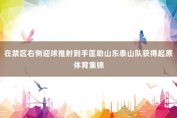 在禁区右侧迎球推射到手匡助山东泰山队获得起原体育集锦