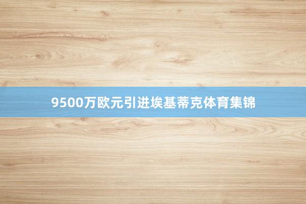 9500万欧元引进埃基蒂克体育集锦