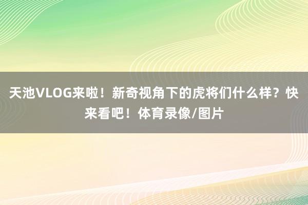 天池VLOG来啦！新奇视角下的虎将们什么样？快来看吧！体育录像/图片