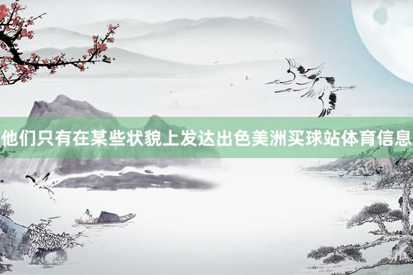 他们只有在某些状貌上发达出色美洲买球站体育信息