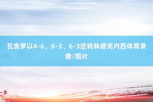 瓦舍罗以4-6、6-3、6-3逆转林德克内西体育录像/图片