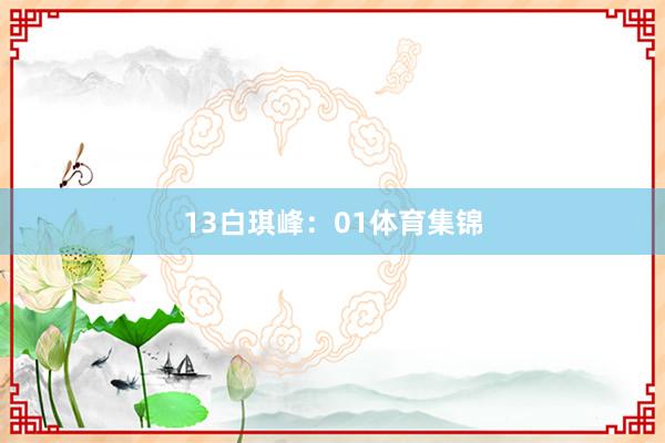 13　　白琪峰：01体育集锦