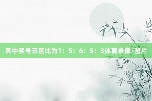 其中奖号五区比为1:5:6:5:3体育录像/图片